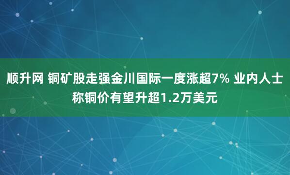 顺升网 铜矿股走强金川国际一度涨超7% 业内人士称铜价有望升超1.2万美元