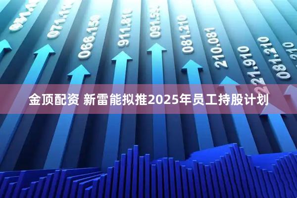 金顶配资 新雷能拟推2025年员工持股计划