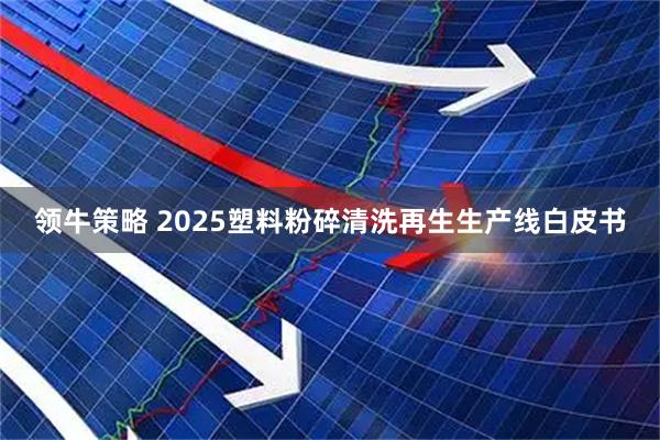 领牛策略 2025塑料粉碎清洗再生生产线白皮书